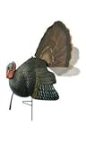 New Primos Killer B Turkey Decoy Mobile Series Real Fan Holder Ground Breake Carrying Bag