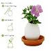 Kitchen & Housewares : Egglings (Petunia)