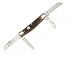 Queen Lg Congress Knife Aged Honey Amber Stag Bone Handle 4 Inch Closed Length D2 Steel