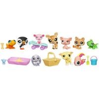 Littlest pet Shop 10 pack of Pets