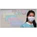 Earloop Mask 3100 Multi Color mask