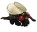 Fly Pull Back Toy