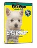WEST HIGHLAND WHITE TERRIER DVD! + Dog & Puppy Training Bonus->Cliquez sur l'image pour obtenir des informations sur ce DVD