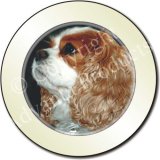BLENHEIM KING CHARLES Tax Disc Holder