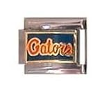 Florida Gators Italian Style Charm