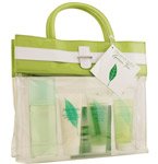 GREEN TEA by Elizabeth Arden Gift Set for WOMEN: SET-EAU DE PARFUM SPRAY 3.3 OZ & HONEY DROPS BODY CREAM 3.3 OZ & SHOWER GEL 3.3 OZ & SHAMPOO 3.3 OZ & SPA BAG