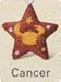 Tea Ball with Astrology Sign - Cancer