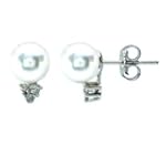 14k White Gold Pearl & Diamond Earrings (0.08 ctw)