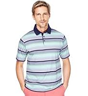 Blue Harbour Pure Cotton Varied Striped Polo Shirt