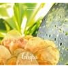 Livre de recettes Chips, Mastrad