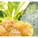 Livre de recettes Chips, Mastrad