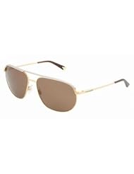 Dolce Gabbana 2092 GOLD BROWN Sunglasses 03473 by Dolce & Gabbana