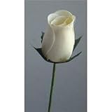 Miscellaneous Items 12PETAST 1 Dozen Petite Rose Bouquets Wooden Roses 50-Piece Display - Assorted Colors (1 Each)