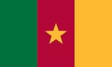 America's Flag Company FF2X3NCAM1 2-Foot by 3-Foot Nylon Cameroon Flag