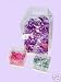 24 PCS 7x7x8-1/2 PVC Handle Box Party Favor w/ Golden Card