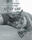 10 Spiritual Lessons You Can Learn from Your Cat