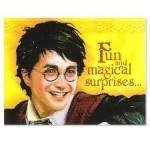 Harry Potter Goblet of Fire Invitation 8 pc