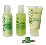 Frederic Fekkai Multi Faceted Shine Set