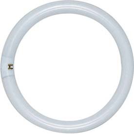 Satco S2954 Fc16t9/Ww/Rs 40w Warm White