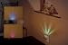 Sunshine LED Night Light CM-10801