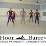 Zena Rommett Floor-Barre� on Broadway Series V Sculpts the Body