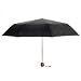 Franzus Travel Smart Mini Umbrella