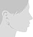 Amazon Collection Platinum Plated Sterling Silver Cubic Zirconia Three Stone Leverback Earrings