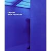 Carlos Cruz-Diez: Reflection on Color