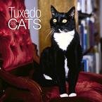 Tuxedo Cats 2010 Wall Calendar