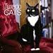 cats25 - Tuxedo Cats 2010 Wall Calendar