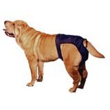 SnuggEase Washable Dog Diaper - VALUE PACK - Small