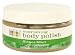 Aura Cacia Body Polish Ginger/Mint 8 oz ( Eight Pack) Image