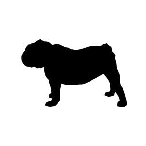 Silhouette of a BULLDOG 24 inch high vinyl decal available in two colors, BLACK and WHITE. Newest Version