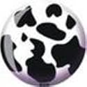 Cow Viz-A-Ball