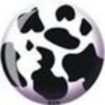Cow Viz A Ball 21%2Bm9NDmGLL. SL160 Cow Viz A Ball