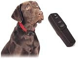 Petsafe HDT11-11048 Big Dog Remote Trainer