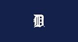 Detroit Tigers Pool Table Billiard Cloth