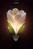Flowers of Light Night Lights Crocus Ibis and Orchid