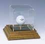Single Golf Ball Display Case