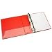 NSN4171878 Slant D-Ring View Binder, 2 Capacity, Red (lci NSN4171878)