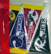 NFL Mini Pennant Set (all 32 Teams)