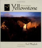 Yellowstone Wild and Beautiful