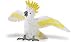 COCKATOO by Safari, Ltd.
