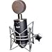 Multi-Pattern Condenser Tube Microphone