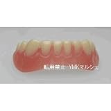 インスタント 美容 入れ歯 下歯 日本語簡易説明書付 （Free Size) (Free Size) 日本語