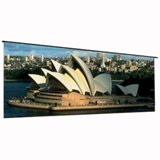 Draper Paragon Motorized Auditorium Projector Screen - Widescreen (288" W x 216" H)