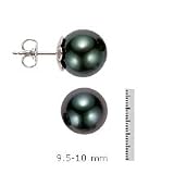 14k Gold, AAA 9.5-10mm Black Tahitian Pearl Stud Earring