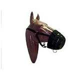 MUZZLE GRAZING HORSE BK
