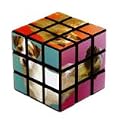 Sababa Rubik's Cube American Kennel Club Terrier Group