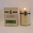 Archipelago Botanicals BAMBOO TEAK CANDLE 60 Hour Aromatherapy Home Fragrance Signature Series All Natural Hand Poured Premium Soy Wax Jar Candle W/ Deluxe Gift Box
